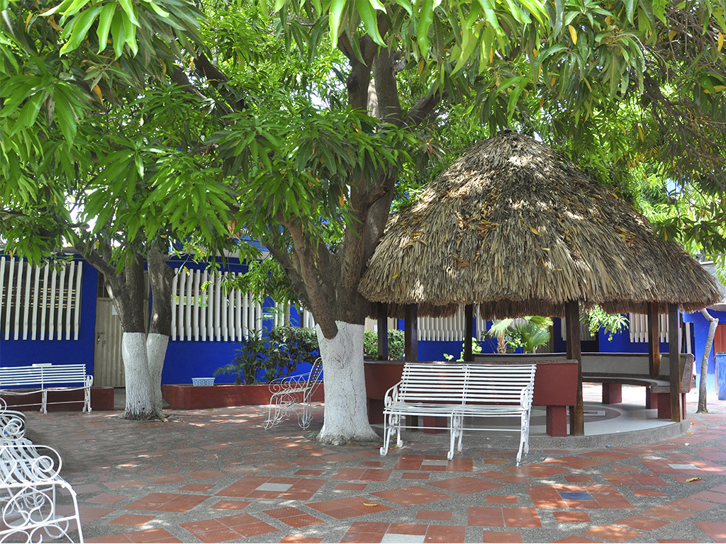 Instituto Pedagógico De Maicao